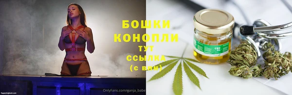 PSILOCYBIN Белоозёрский